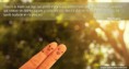 /album/frases-testemonio/a6940578505-2ab300df4e-o-jpg1/